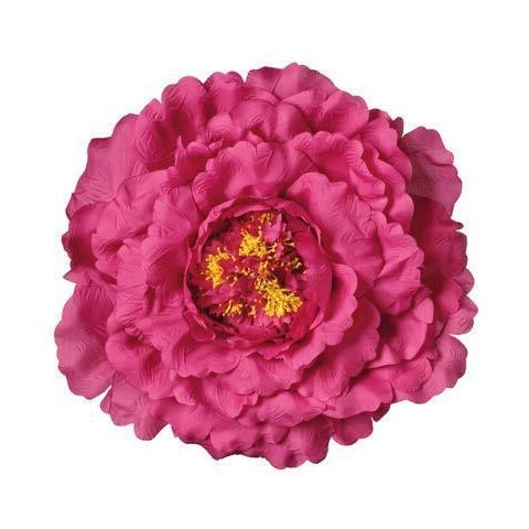 TESTA PEONIA XXL D48 FUXIA